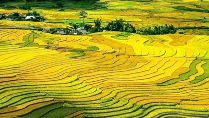 【立秋】叶落知秋，丰收正当时